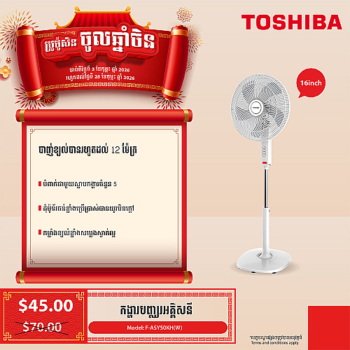 Toshiba Electric Fan 16 inch